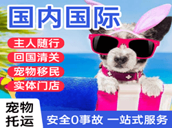 信阳明港机场空运国际宠物托运 【国